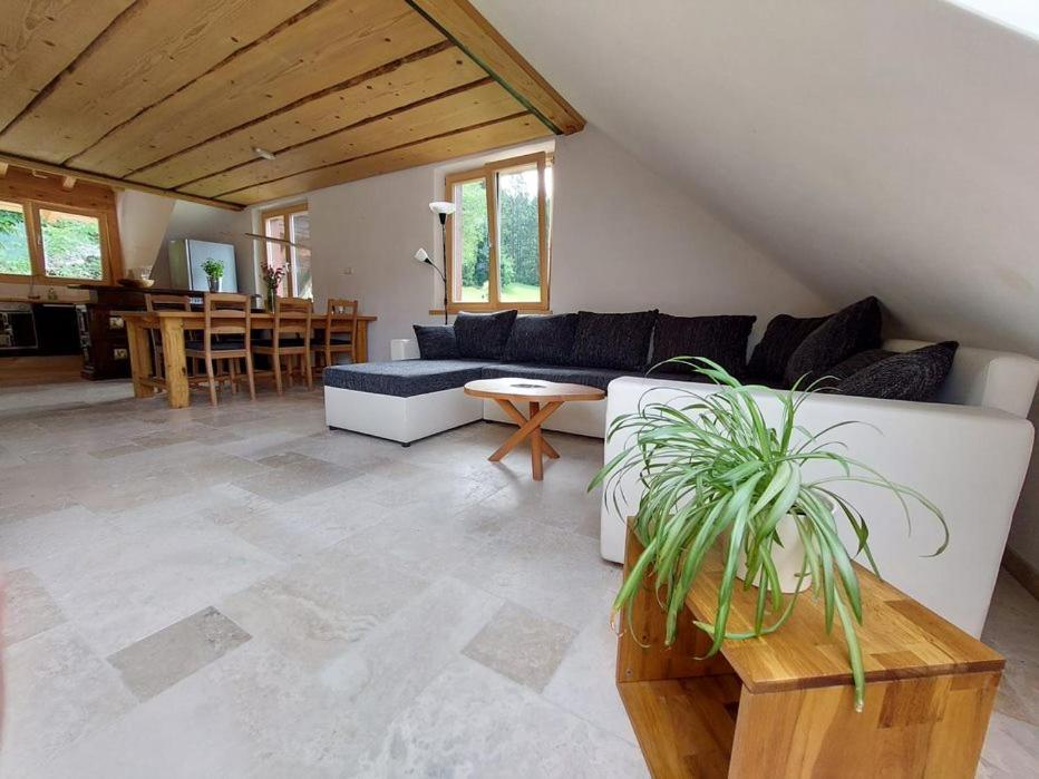 Appartamento Zum Eichbuehl St. Blasien Esterno foto