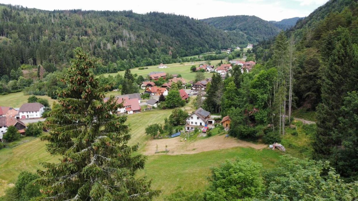 Appartamento Zum Eichbuehl St. Blasien Esterno foto